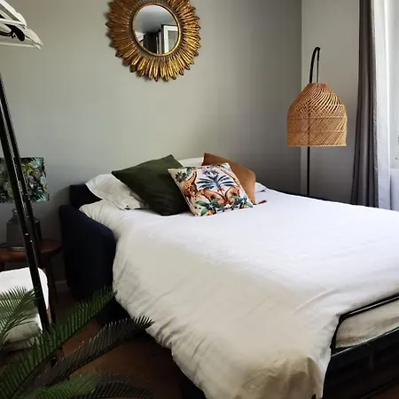 Le Jungle Apartment